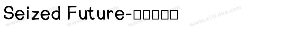 Seized Future字体转换